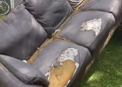 Excellent junk haulers