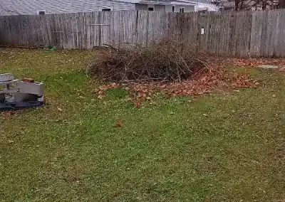 Excellent junk removal company