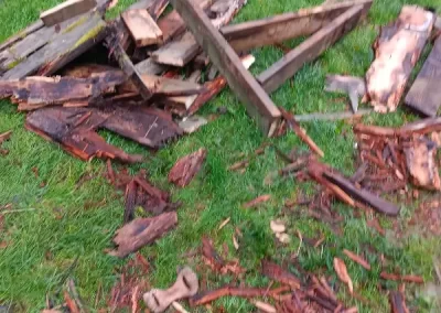 Reputable commercial junk removal