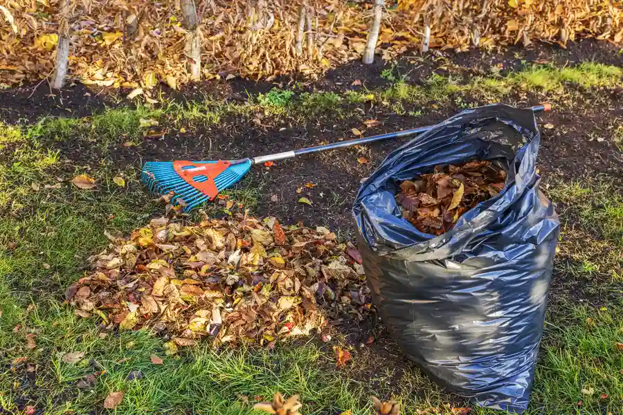Quality Yard Waste Removal Pattersonville, NY