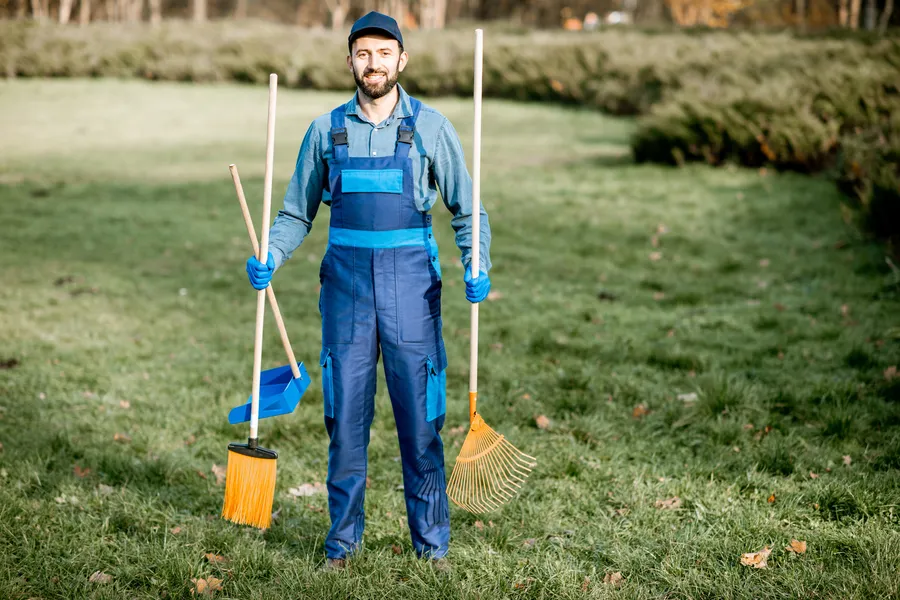 Reliable Yard Waste Removal Pattersonville, NY