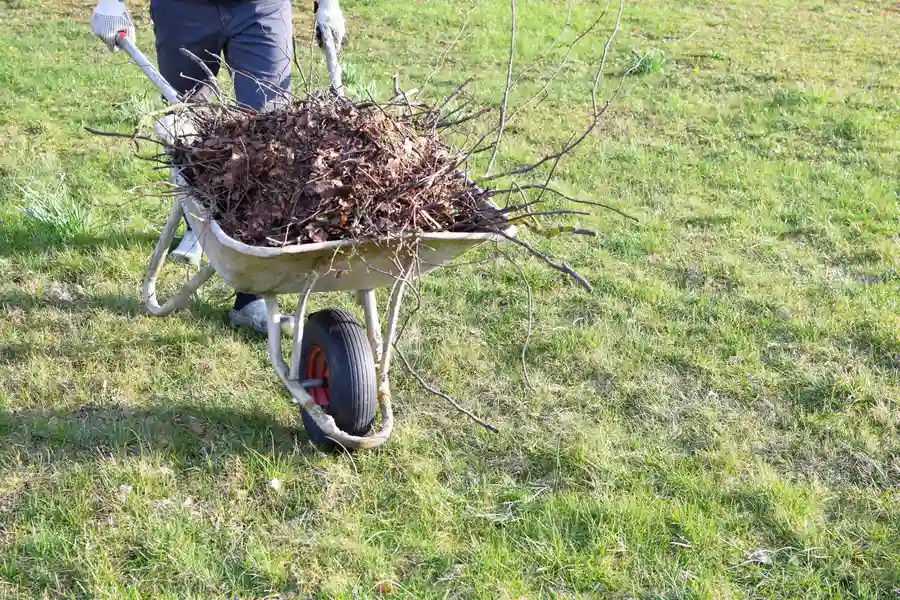 Why Yard Waste Removal Is Essential After Landscaping Projects Pattersonville, NY