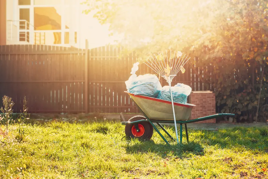 Why Yard Waste Removal Is Essential After Landscaping Projects in Pattersonville, NY